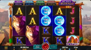 Big Wild Buffalo Belatra